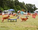 20140614-comp-0091