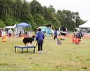 20140614-comp-0096