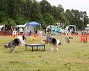 20140614-comp-0101