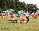 20140614-comp-0103