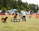 20140614-comp-0105
