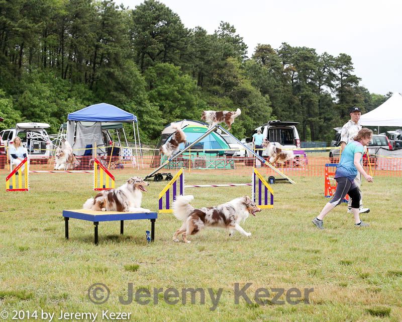 20140614-comp-0072.jpg