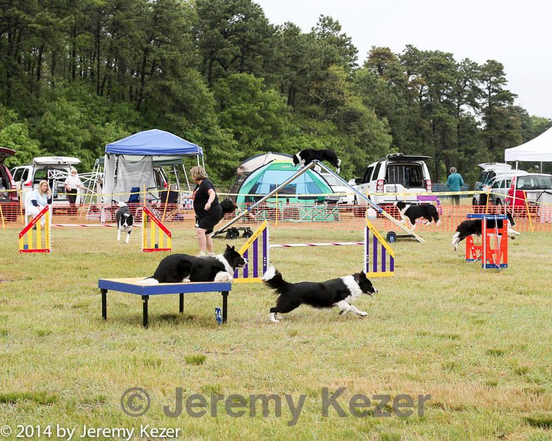 20140614-comp-0074.jpg