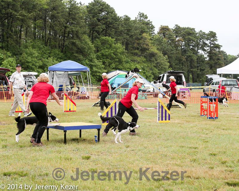 20140614-comp-0075.jpg