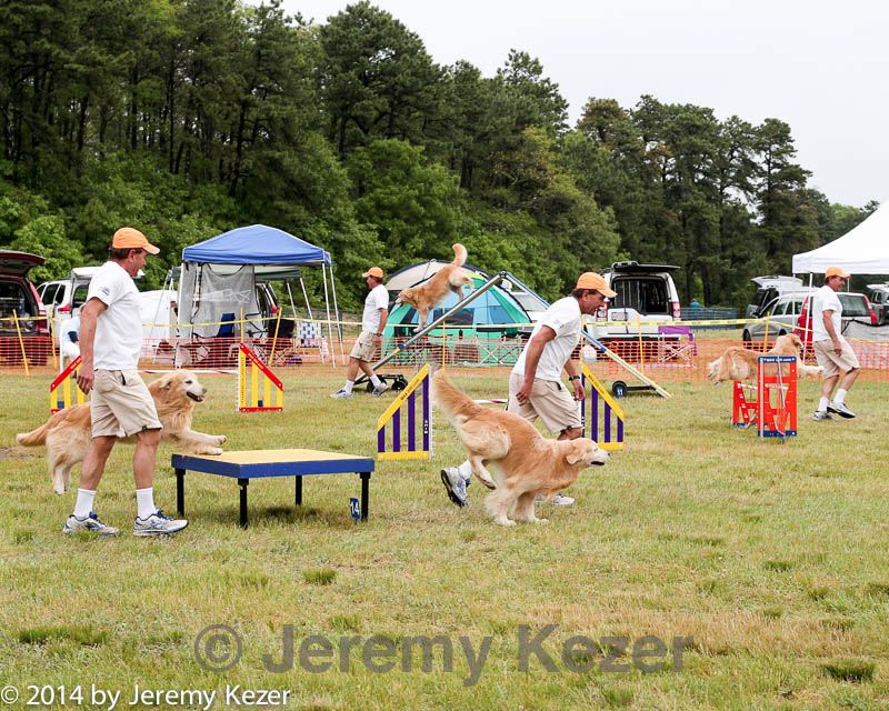 20140614-comp-0076.jpg