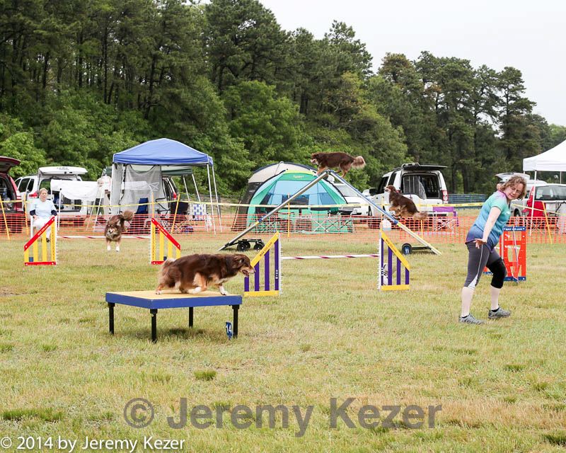 20140614-comp-0077.jpg