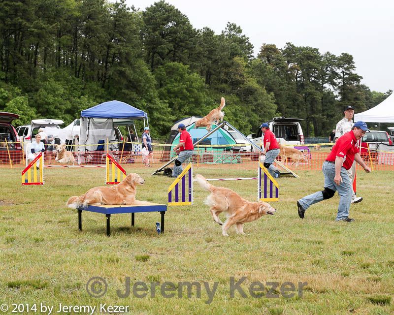 20140614-comp-0078.jpg