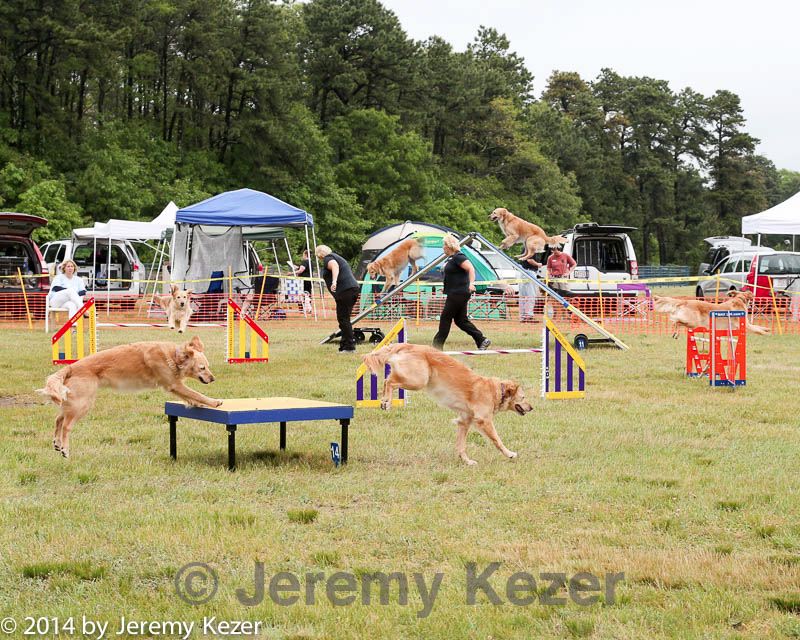 20140614-comp-0082.jpg