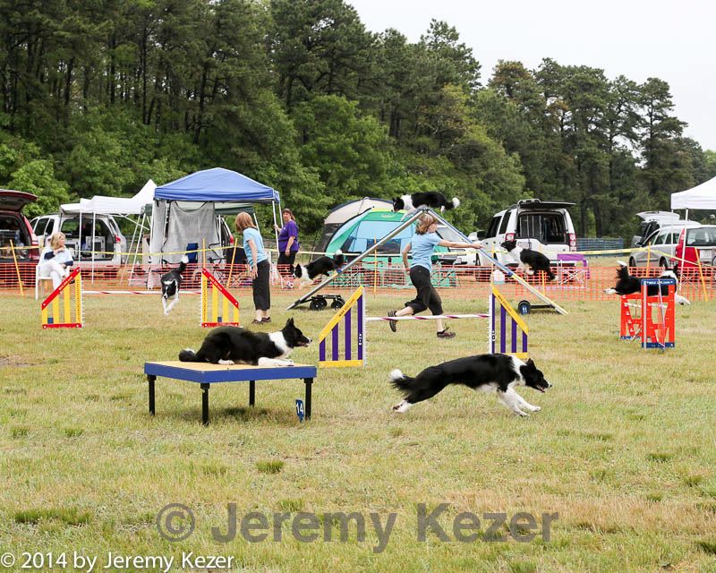 20140614-comp-0085.jpg