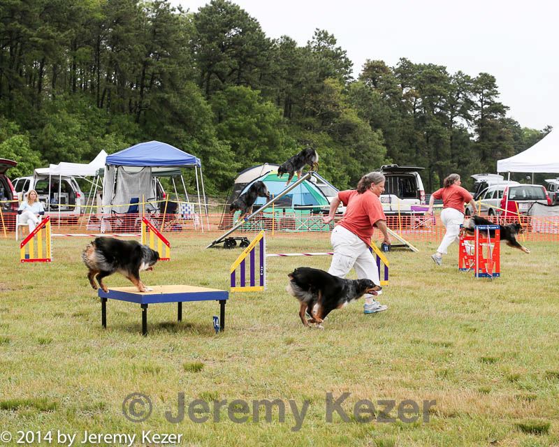 20140614-comp-0086.jpg