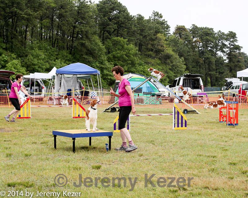 20140614-comp-0093.jpg