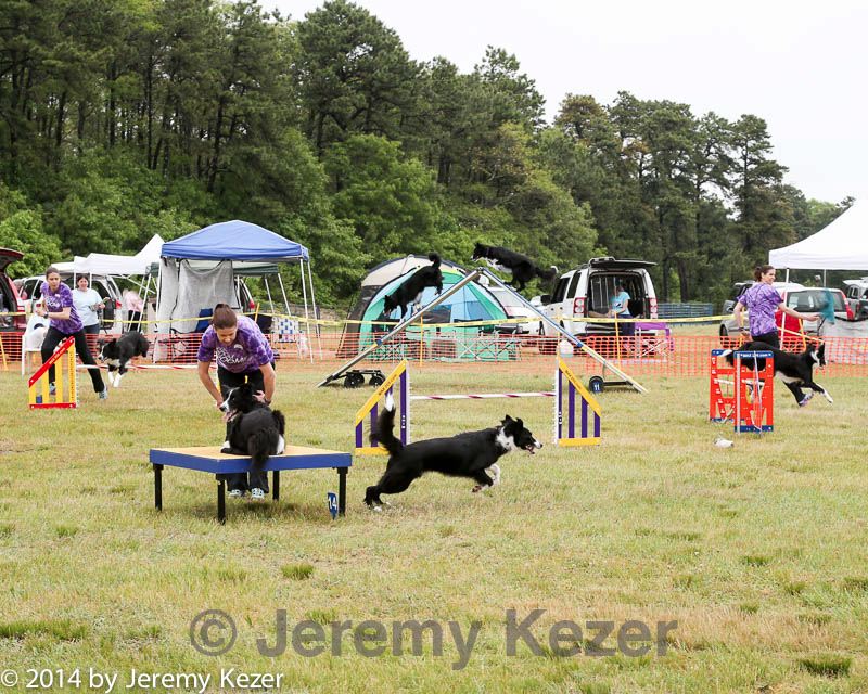 20140614-comp-0098.jpg