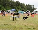 20140614-comp-0110