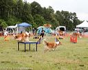 20140614-comp-0115