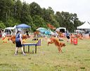 20140614-comp-0116