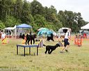 20140614-comp-0117