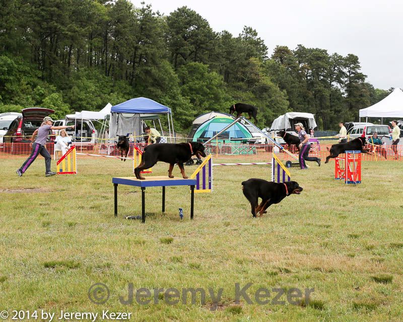 20140614-comp-0110.jpg