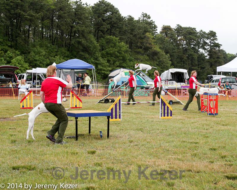20140614-comp-0112.jpg
