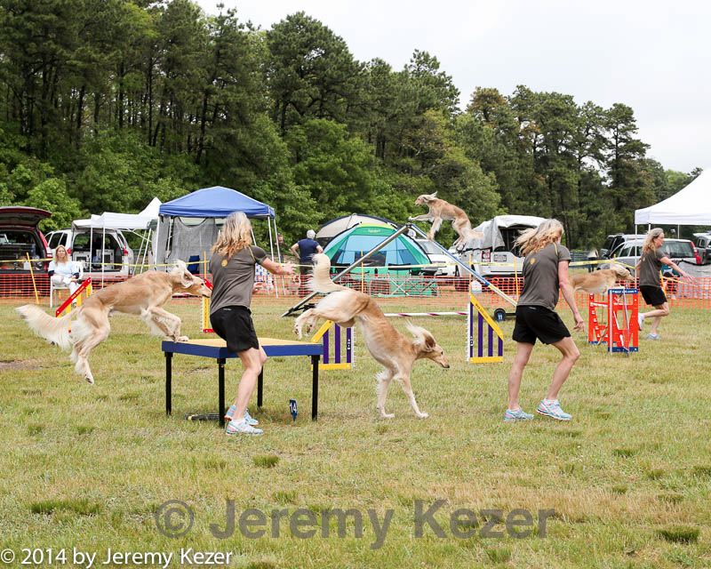 20140614-comp-0114.jpg