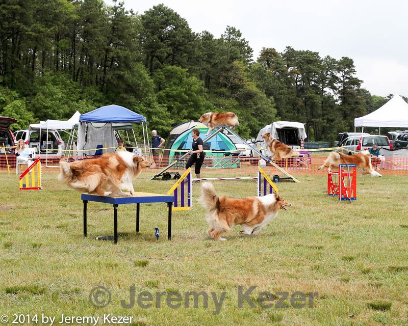 20140614-comp-0115.jpg