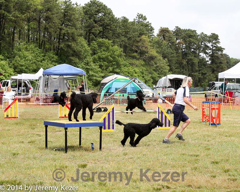 20140614-comp-0117.jpg