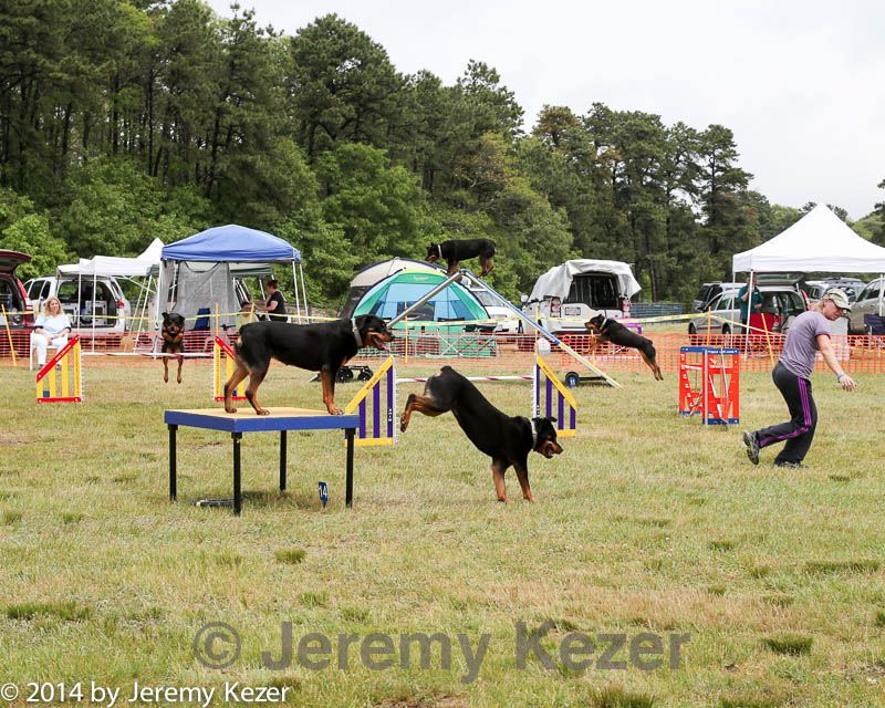 20140614-comp-0118.jpg