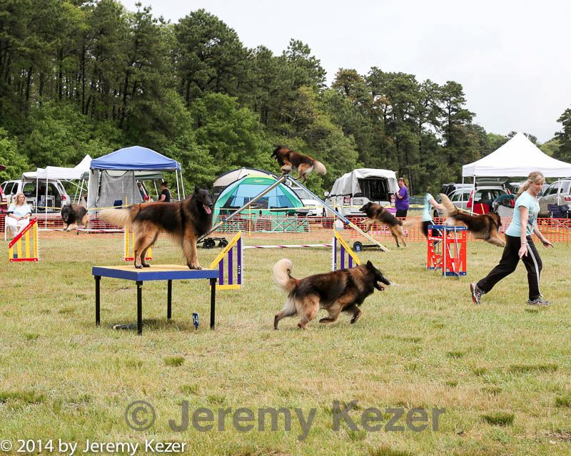 20140614-comp-0119.jpg