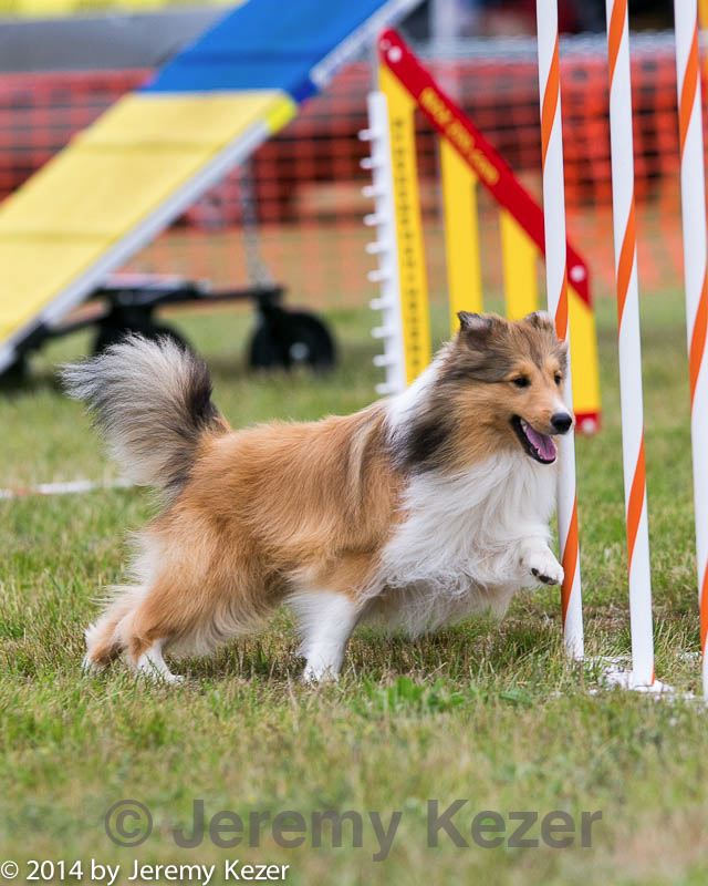 20140614-1519.jpg