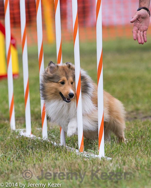 20140614-1523.jpg