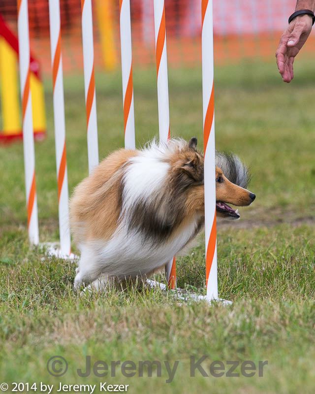 20140614-1525.jpg