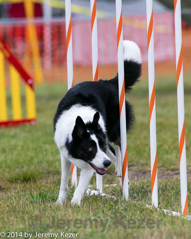 20140614-1562.jpg