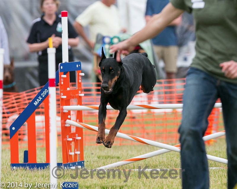 20140614-1566.jpg