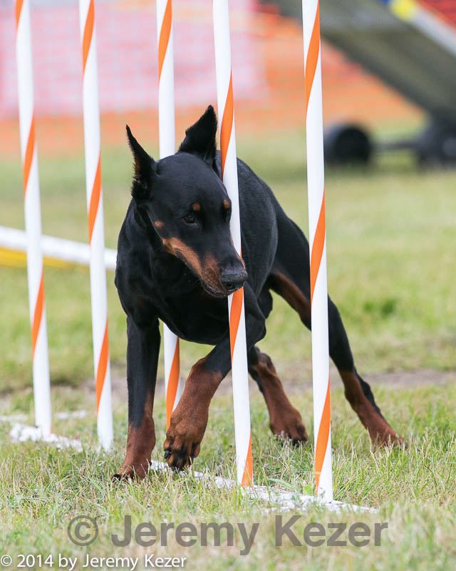 20140614-1576.jpg