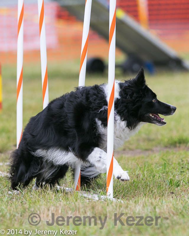 20140614-1595.jpg