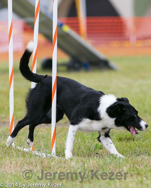 20140614-1609.jpg