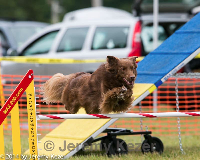 20140614-1619.jpg