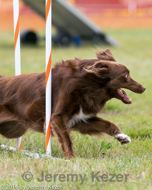 20140614-1626.jpg