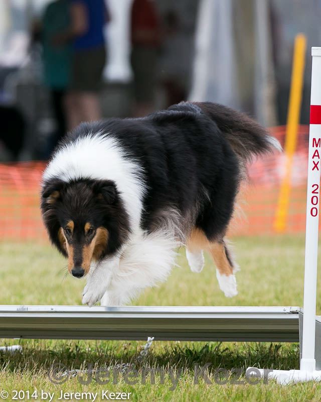 20140614-1630.jpg