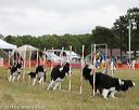 20140614-comp-0130