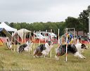 20140614-comp-0134