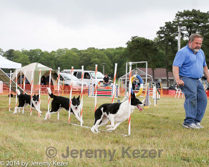 20140614-comp-0133.jpg