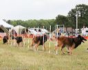 20140614-comp-0137