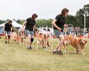 20140614-comp-0138