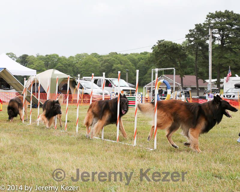 20140614-comp-0137.jpg