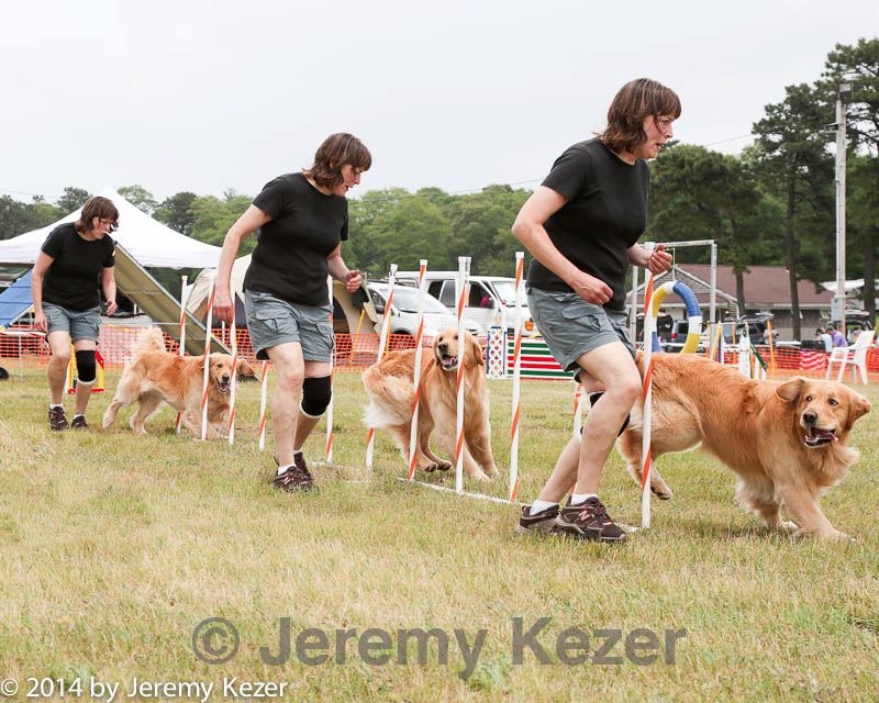 20140614-comp-0138.jpg