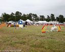 20140614-comp-0139