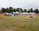 20140614-comp-0140