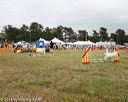 20140614-comp-0141