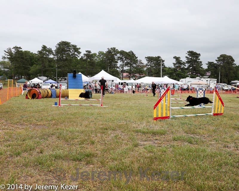 20140614-comp-0142.jpg