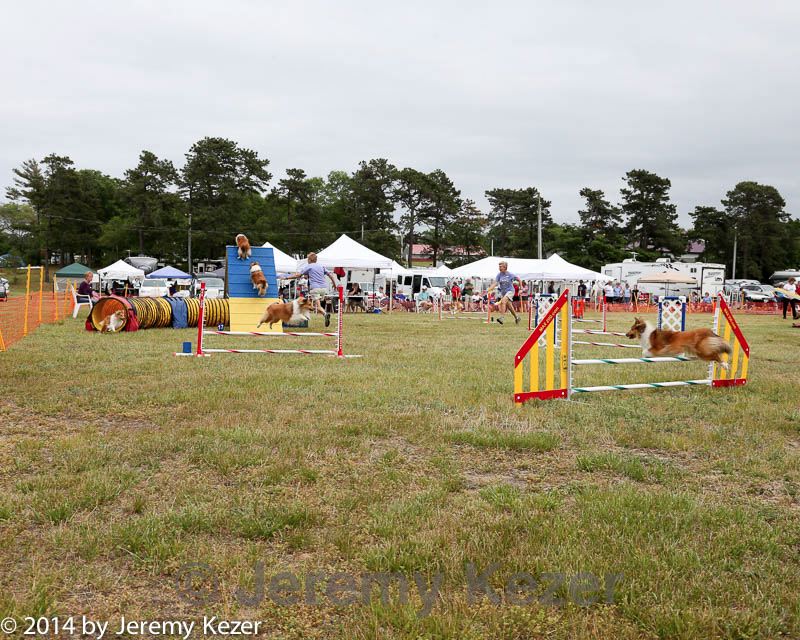 20140614-comp-0143.jpg